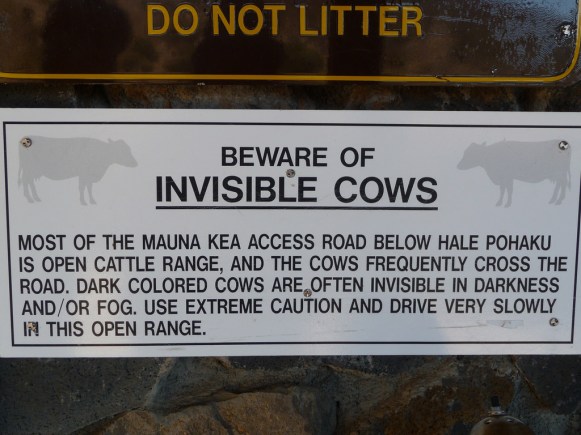 Beware of Invisible Cows